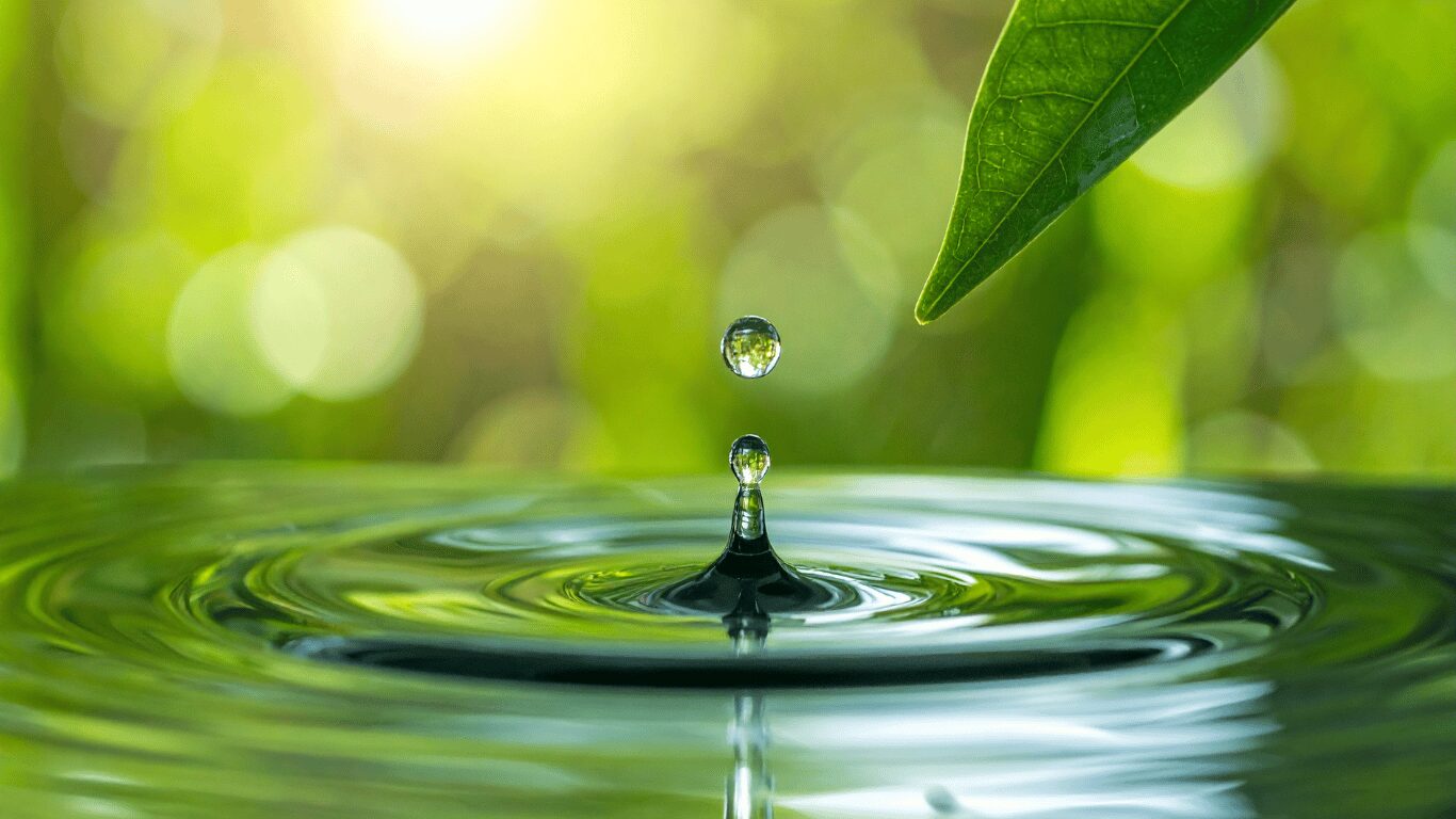 A droplet creating ripples beneath a green leaf symbolizes sustainable water treatment, sustainable water, and advanced water treatment technologies for water purification, water conservation, and improved water quality using energy efficient systems that reduce energy consumption, protect human health, and minimize environmental impact and carbon footprint through sustainable practices, natural processes, biological processes, and membrane technologies that remove contaminants, organic pollutants, and bacterial contamination from wastewater and drinking water, supporting clean water, water reuse, and sustainable water management in a changing world affected by climate change and water pollution.