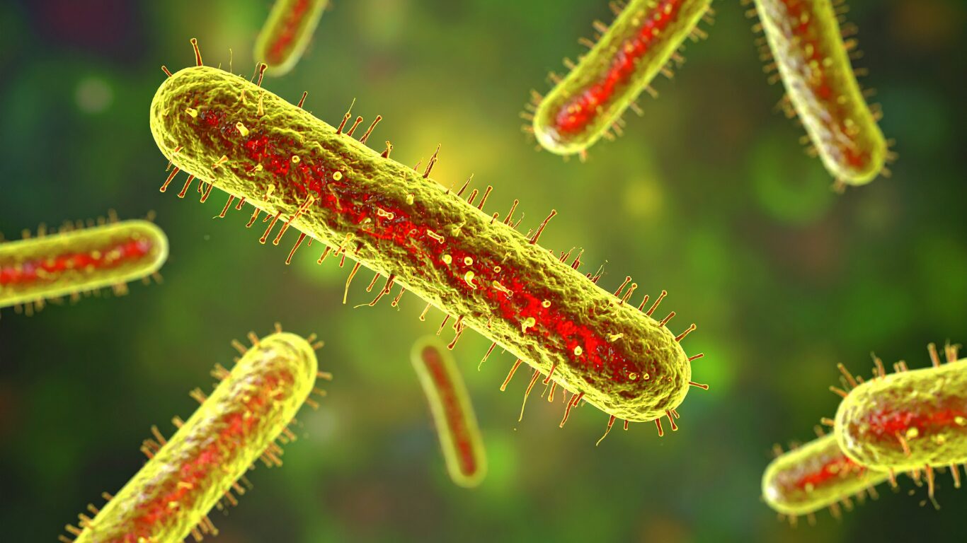 Microscopic illustration of Legionella bacteria showing detection and testing methods used for detecting legionella in water samples from cooling towers, potable water, non potable water systems, hot tub environments, and other complex water systems to support water safety and public health.
